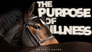 The Purpose of Illness | Official trailer