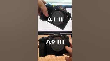 “Don’t Miss This Sony Firmware Update”#sonya1ii #firmwareupdate #wildlifephotography