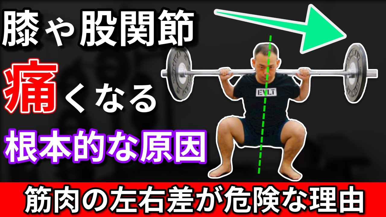 【解剖学的解説】筋肉の左右差を改善する方法【下半身編】
