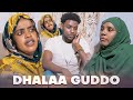 Faya jiru  dhalaa guddo  new diraamaa afaan oromo