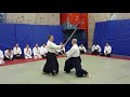 Luc mathevet  cyril lagrasta aikido dublin