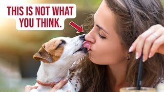 The secret why a dog licks your face is really DISGUSTING…