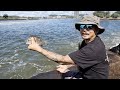 Tweed Heads  Trevally and Bream Fishing Action | 手竿海釣，解鎖新品種...