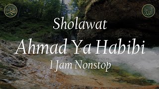 Sholawat Ahmad Ya Habibi 1 Jam Nonstop