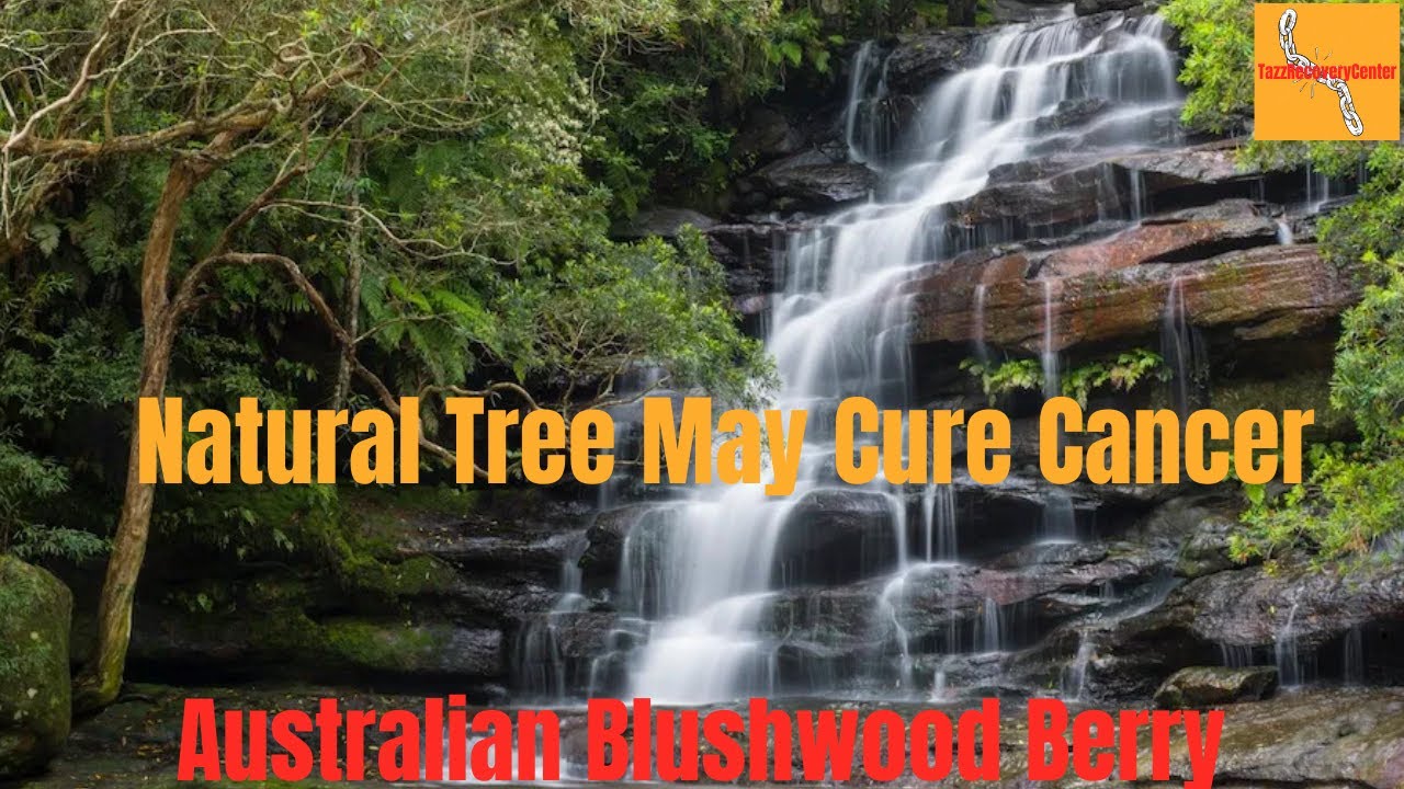 TazzRecoveryCenter - EBC-46 May Cure Cancer - YouTube