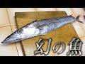 滅多にお目にかかれない激レア魚！皮めにはゴリゴリの骨！食べにくいが味は絶品？！