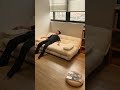 韓国風インテリア🤍ミルクカラーソファベッド#sofa #sofabed #shorts #おうち時間