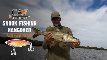 Snook Fishing Hangover - Flats Class