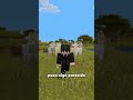 Las llamas en Minecraft Bedrock! 🤨