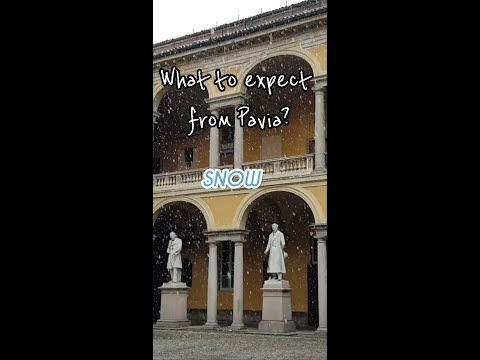 What to expect from Pavia #shorts #unipv