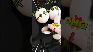 싼가격에 꿀맛 #꿀템 #쿠팡추천 #다이소템 #주방용품 #살림템 #kitchen #살림 #일상 #생활꿈팁#shorts
