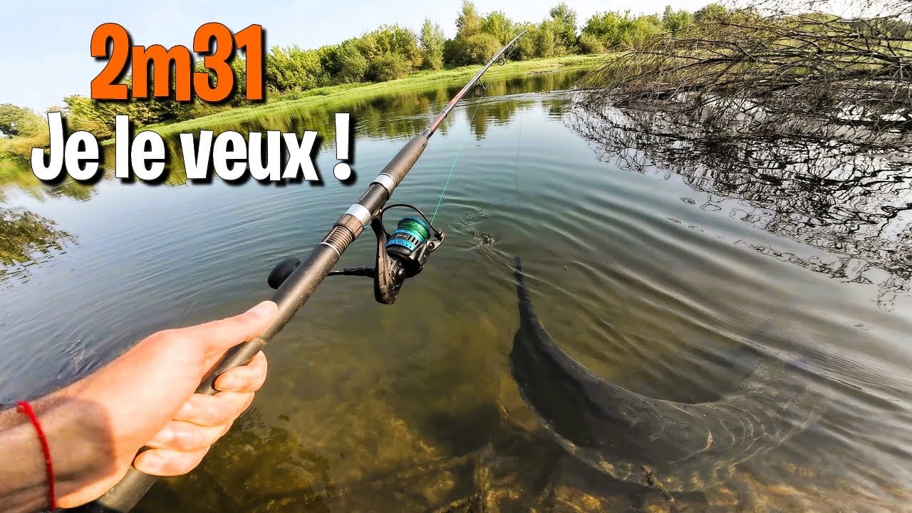 PÊCHE du SILURE 2m31 dans une eau CRISTALLINE