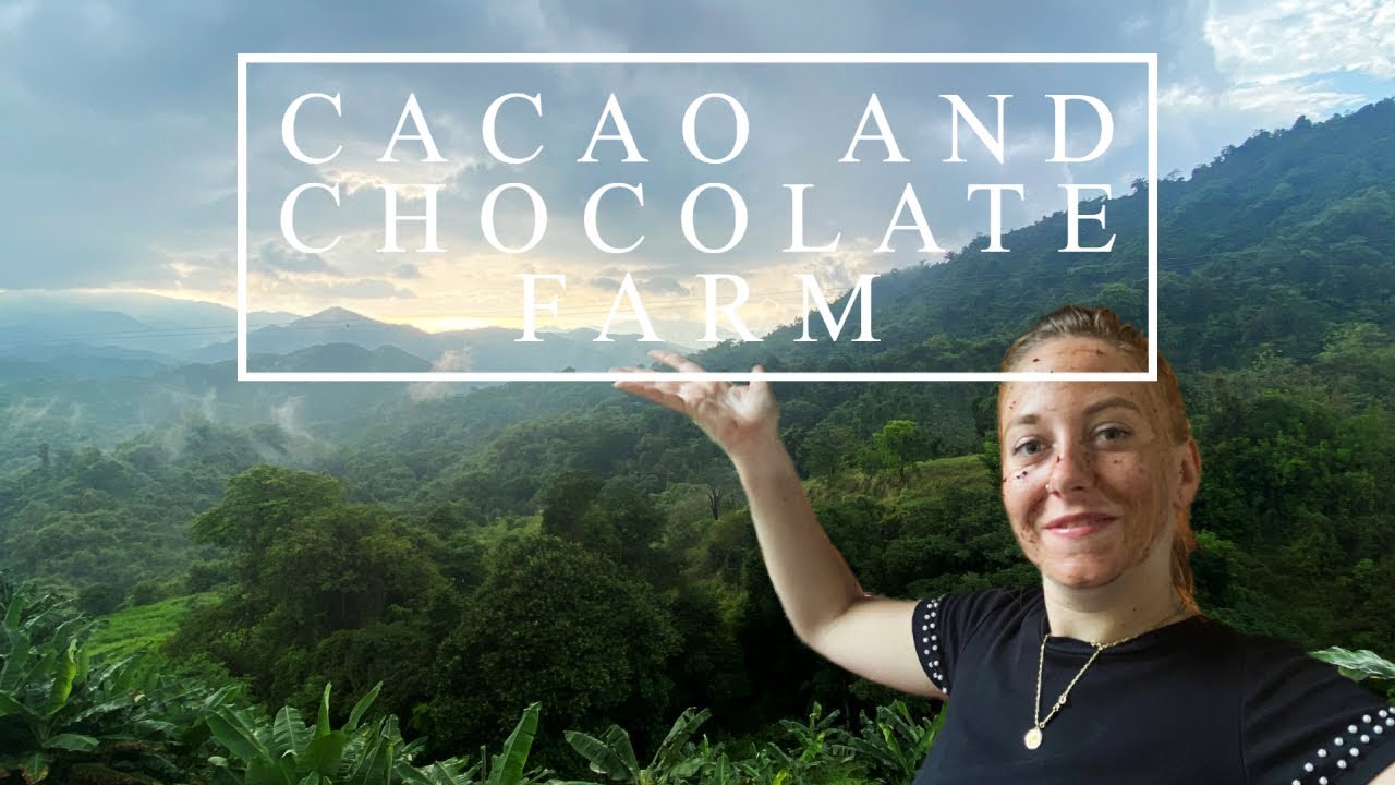 VISITING A CACAO AND CHOCOLATE FARM MINCA COLOMBIA 🇨🇴 YouTube
