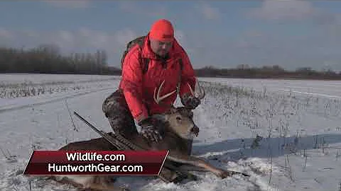 Rifle Deer hunt in Northern MN