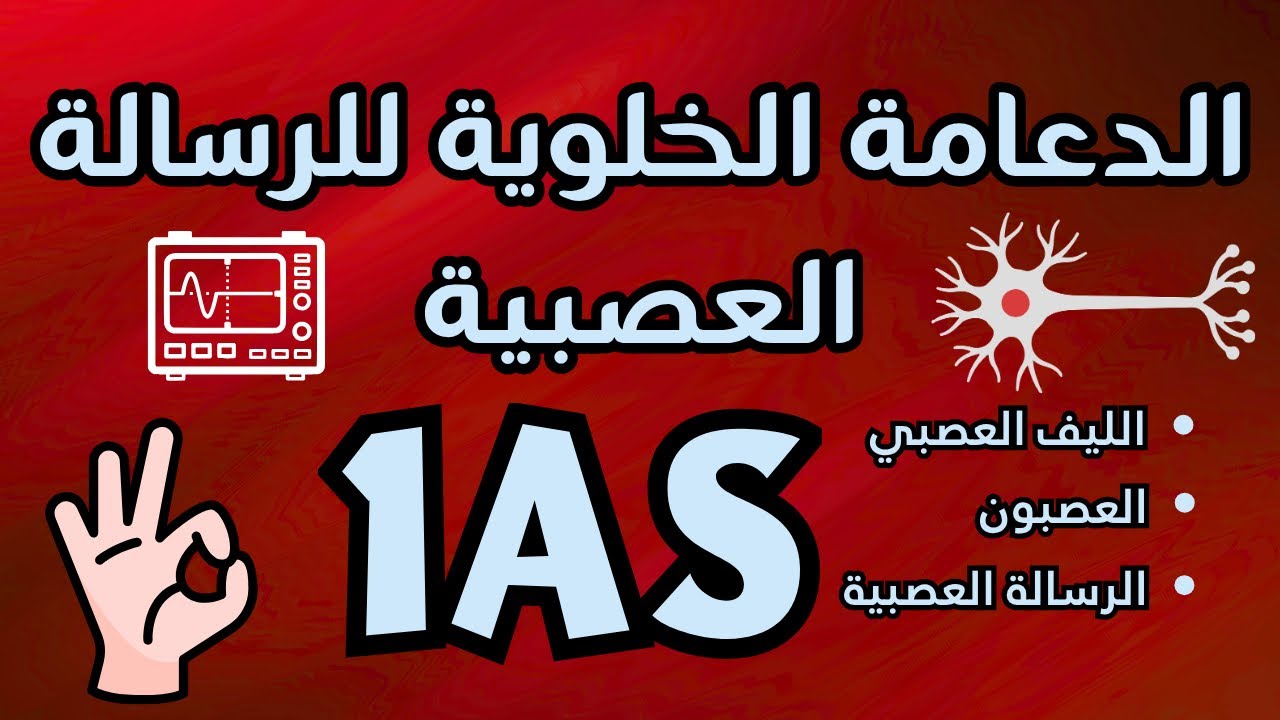 الدعامة الخلوية للرسالة العصبية|أولى ثانوي|الفصل الثالث|مراجعة للاختبار|العصب|العصبون|الليف العصبي😎