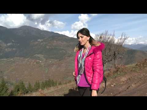 სოფელი - ბ უ თ უ რ ა უ ლ ი (შუახევი) #ერთიდღესოფელში