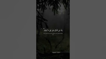يَا بُنَيَّ أَقِمِ الصَّلَاةَ وَأْمُرْ بِالْمَعْرُوفِ ¦ محمد صديق المنشاوي ¦ سورة لقمان