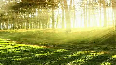 سوره الرحمن الواقعه الحديد بصوت الطفل