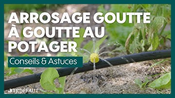 Installer un système goutte-à-goutte pour potager - Truffaut