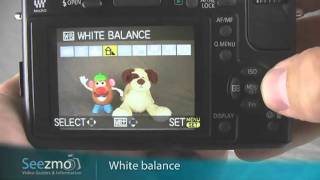 Panasonic GF1: Panorama Guide