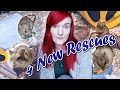 The Stargazing Hamster | Rescuing Multiple Animals | Munchie's Place