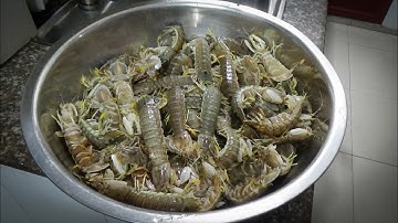 Mẹo chọn và chế biến Tôm Tít (Bề Bề) ngon