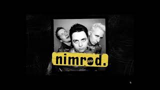 Green Day NEW SONG demo, You Irritate Me