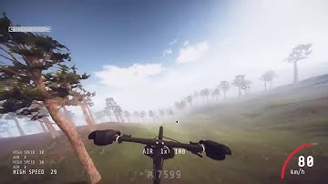 Decenters: HI Speed Downhill high speed @ 90kmh+