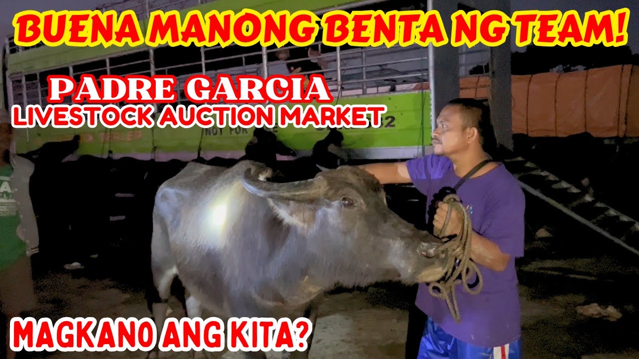 BUENA MANONG BENTA NG TEAM! | PADRE GARCIA STOCKYARD | MAGKANO ANG KITA? | SOLLE'S GANDANG BUHAY