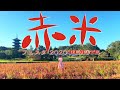 赤米フェスタ2020-REMOTE-