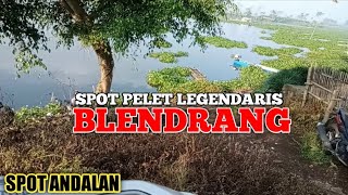 UMPAN PELET || SPOT BLENDRANG