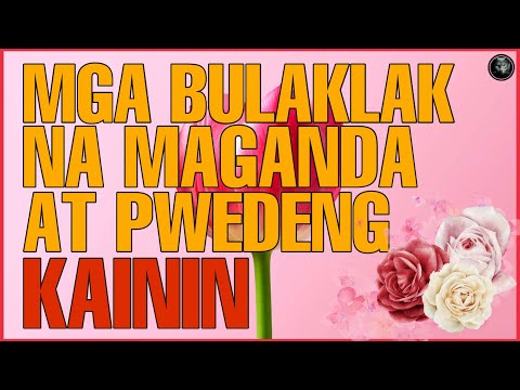 Video: Borage: Mga Bulaklak Para Sa Pagkain