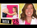 Week 28  third trimester and what to expect at 28 weeks