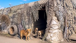 Mama Dog Tried to Keep Us Away from the Bunker… Then We Saw Why