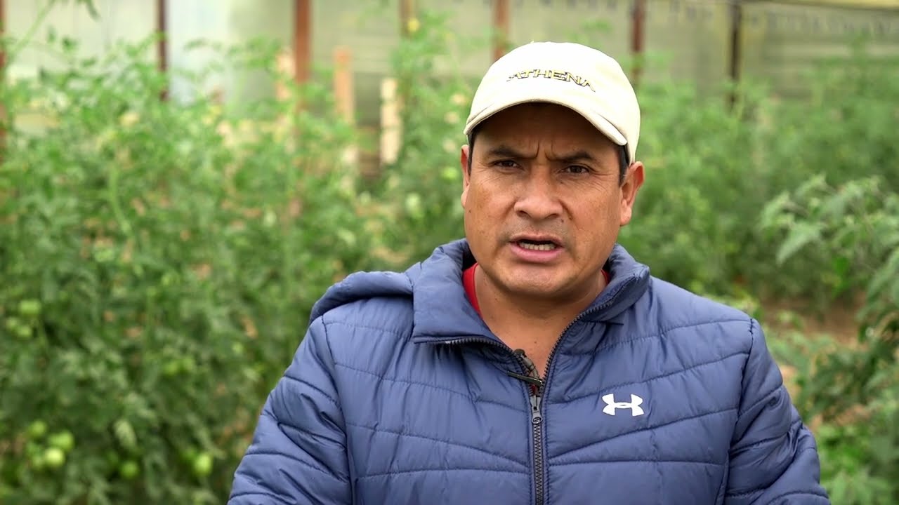 PRODUCTORES AGROECOLÓGICOS DE QUILLACOLLO