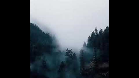 سورة النازعات للقارئ #عبدالرحمن_السديس