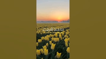 سورة إبراهيم الآية (42)||وَلَا تَحْسَبَنَّ اللَّهَ غَافِلًا||القارئ شريف مصطفى #قرآن