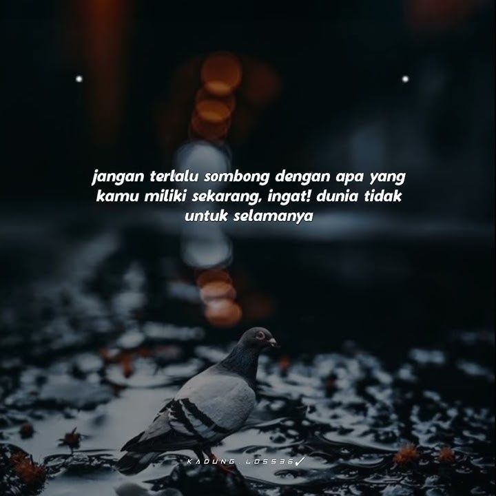 story wa 30 detik dj allah allah aghisna terbaru