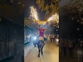 #travel #animals #dance #bullriders #200K subscriber