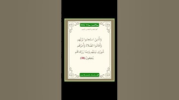 سورة الشورى - سورة 42 - اية 38