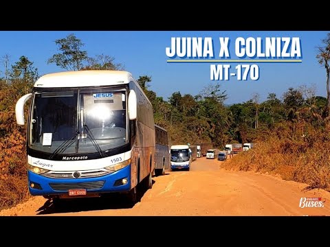 Colniza :: Coisas de Mato Grosso