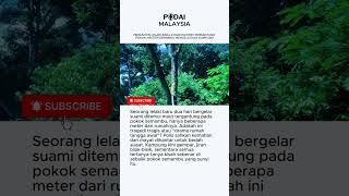 Download Lagu Pengantin Lelaki Baru 2 Hari Kahwin Tergantung Pokok: Misteri Semambu Mengejutkan Kampung MP3