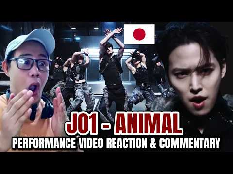 JO1 - ANIMAL - PERFORMANCE VIDEO REACTION