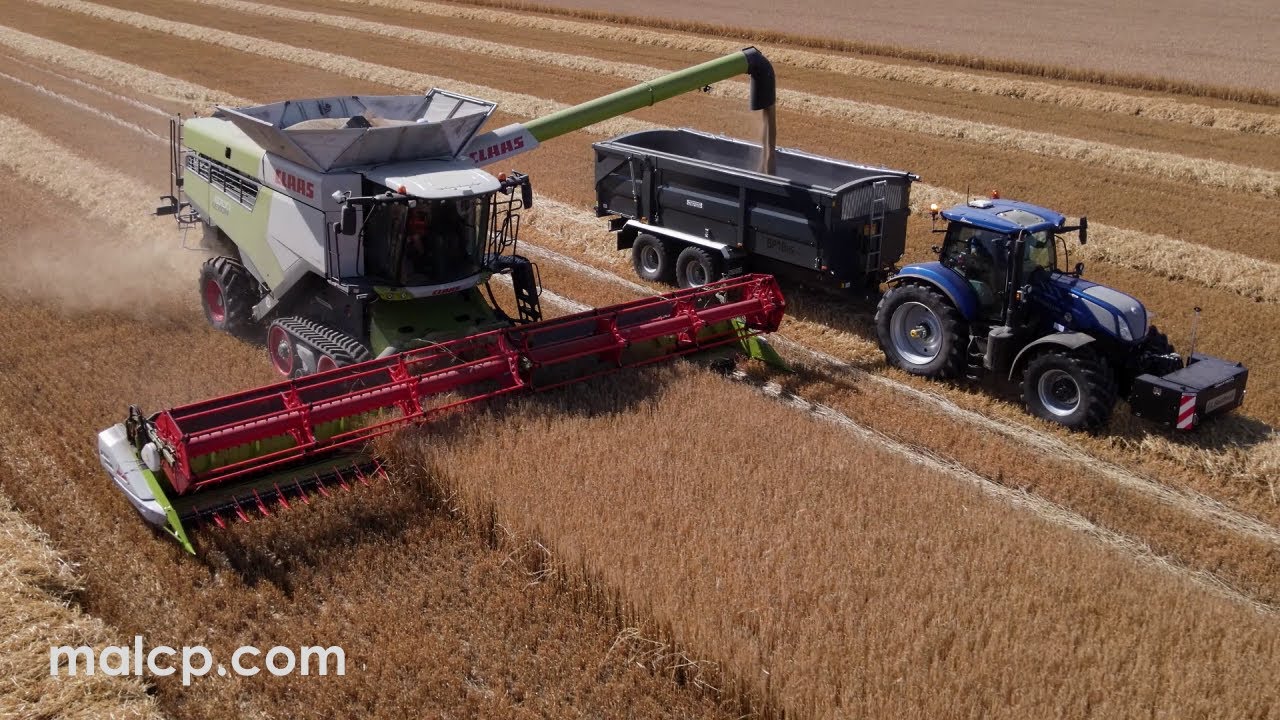 Harvest 2022: Claas Lexion 8700 TT harvesting barley in Eastbridge, Suffolk