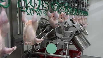 Meyn® Physic Cut up line M3.0