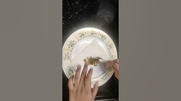 How to fold spring roll easy?