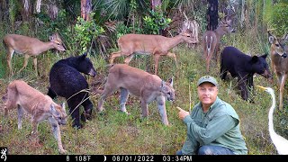 Tim Harrell - Browning Recon Force Advantage Trail Camera Pickup