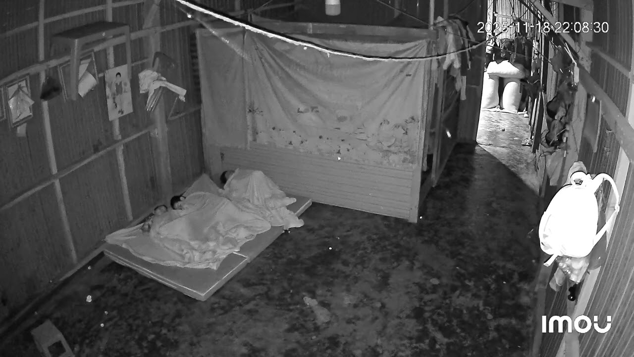 Cảnh quay camera sự xuất hiện của chòm sáng màu trắng.