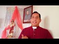 Reflexión del Evangelio. XI domingo del tiempo ordinario