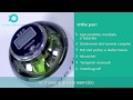 PhysioWorld Powerball – Palla Da Stress Esercizio Mani E Polso Per Fisioterapia